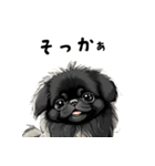 毎日使える大人可愛い黒ペキニーズ（個別スタンプ：18）