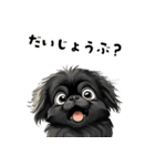 毎日使える大人可愛い黒ペキニーズ（個別スタンプ：19）