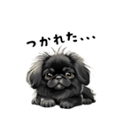 毎日使える大人可愛い黒ペキニーズ（個別スタンプ：23）