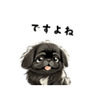毎日使える大人可愛い黒ペキニーズ（個別スタンプ：24）