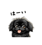 毎日使える大人可愛い黒ペキニーズ（個別スタンプ：27）