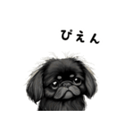 毎日使える大人可愛い黒ペキニーズ（個別スタンプ：29）