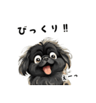 毎日使える大人可愛い黒ペキニーズ（個別スタンプ：30）
