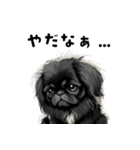 毎日使える大人可愛い黒ペキニーズ（個別スタンプ：32）