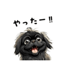 毎日使える大人可愛い黒ペキニーズ（個別スタンプ：33）