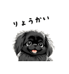 毎日使える大人可愛い黒ペキニーズ（個別スタンプ：35）