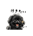 毎日使える大人可愛い黒ペキニーズ（個別スタンプ：38）