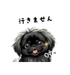 毎日使える大人可愛い黒ペキニーズ（個別スタンプ：39）
