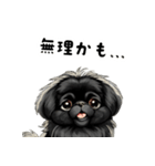 毎日使える大人可愛い黒ペキニーズ（個別スタンプ：40）