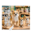 無限チワワ（個別スタンプ：9）