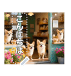 無限チワワ（個別スタンプ：13）