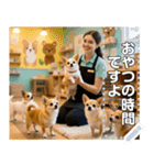 無限チワワ（個別スタンプ：14）