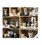 無限チワワ（個別スタンプ：15）