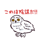 シロフクロウです（個別スタンプ：5）