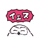シロフクロウです（個別スタンプ：13）