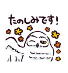 シロフクロウです（個別スタンプ：16）