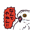 シロフクロウです（個別スタンプ：18）