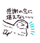 シロフクロウです（個別スタンプ：25）