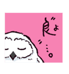 シロフクロウです（個別スタンプ：27）