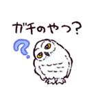 シロフクロウです（個別スタンプ：31）
