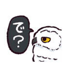 シロフクロウです（個別スタンプ：34）