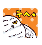 シロフクロウです（個別スタンプ：38）