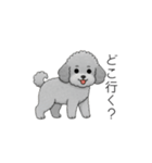 ？疑問形？のトイプードル（個別スタンプ：2）