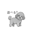 ？疑問形？のトイプードル（個別スタンプ：3）