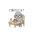 ？疑問形？のトイプードル（個別スタンプ：4）