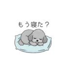 ？疑問形？のトイプードル（個別スタンプ：5）