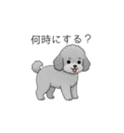 ？疑問形？のトイプードル（個別スタンプ：6）