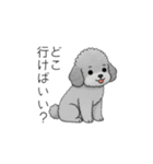 ？疑問形？のトイプードル（個別スタンプ：8）