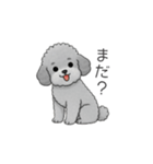 ？疑問形？のトイプードル（個別スタンプ：9）