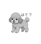 ？疑問形？のトイプードル（個別スタンプ：13）