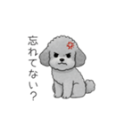 ？疑問形？のトイプードル（個別スタンプ：21）