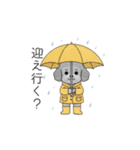 ？疑問形？のトイプードル（個別スタンプ：23）