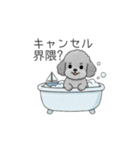 ？疑問形？のトイプードル（個別スタンプ：26）