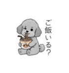 ？疑問形？のトイプードル（個別スタンプ：27）