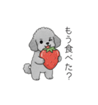 ？疑問形？のトイプードル（個別スタンプ：28）