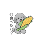 ？疑問形？のトイプードル（個別スタンプ：29）