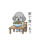 ？疑問形？のトイプードル（個別スタンプ：30）