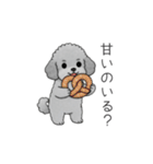 ？疑問形？のトイプードル（個別スタンプ：32）