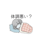 ？疑問形？のトイプードル（個別スタンプ：35）