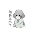 ？疑問形？のトイプードル（個別スタンプ：37）