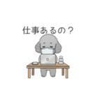 ？疑問形？のトイプードル（個別スタンプ：40）