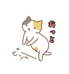 ゆるいねこたちの住み家（個別スタンプ：12）