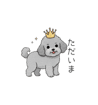 セレブに憧れるトイプードル（個別スタンプ：6）