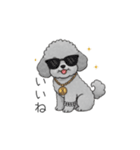 セレブに憧れるトイプードル（個別スタンプ：8）