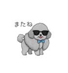 セレブに憧れるトイプードル（個別スタンプ：9）