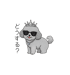 セレブに憧れるトイプードル（個別スタンプ：11）